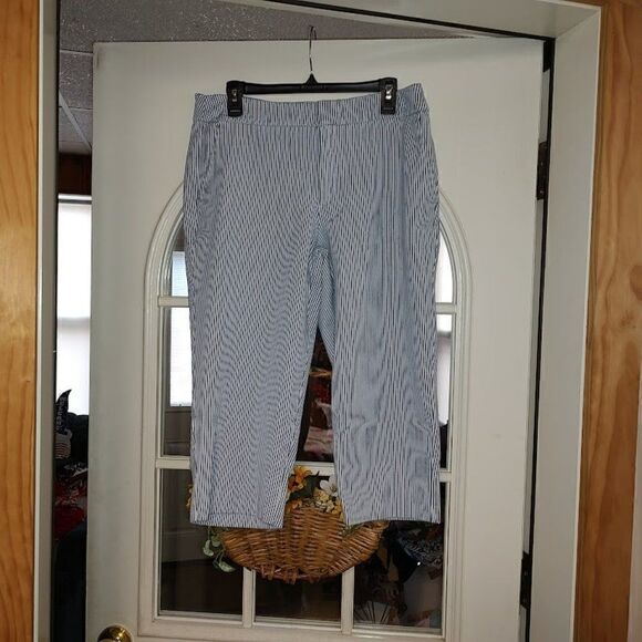Time And Tru White Blue Striped Cropped Jegging Pants Size Women's 14 - Picture 1 of 3